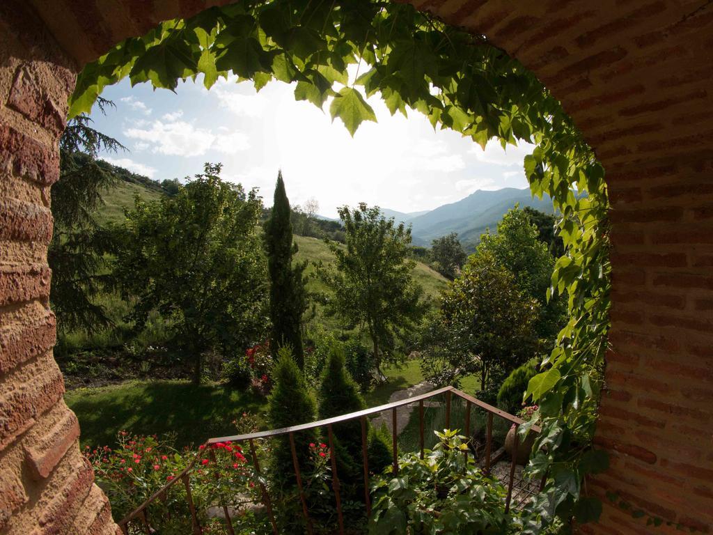 Finca El Carpintero Jerte Extérieur photo